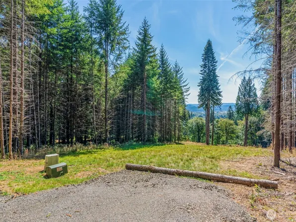 0 Old Tree Farm Drive #2, Longview, WA 98632