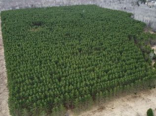 32.29 State Highway 45 #A, Deerbrook, WI 54424