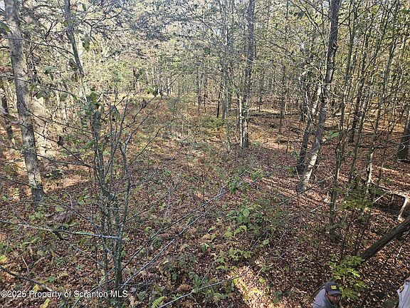 11th image of this home