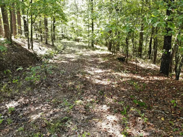 1341 Porter, Clinton, AR 72031