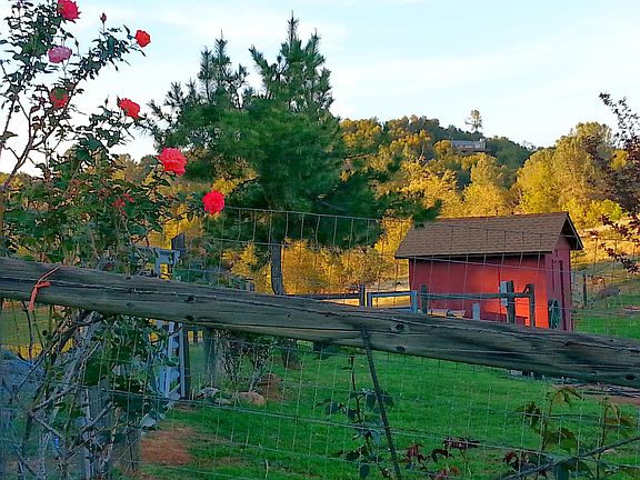 well house at orchard