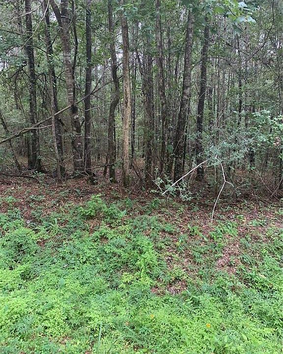 2nd image of Magnolia Church Rd