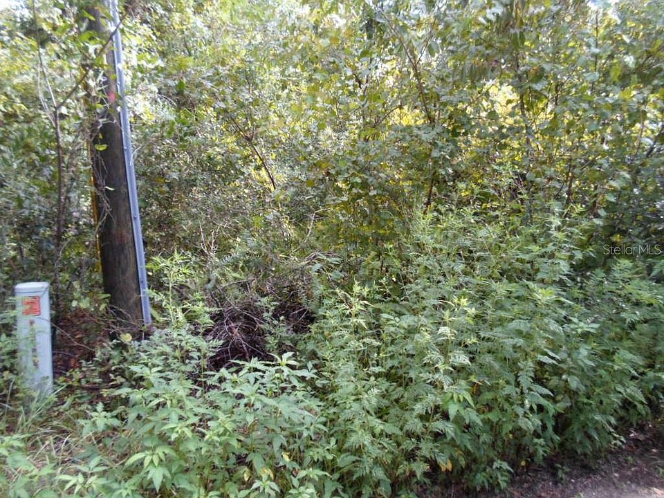 1st image of Woodside Dr