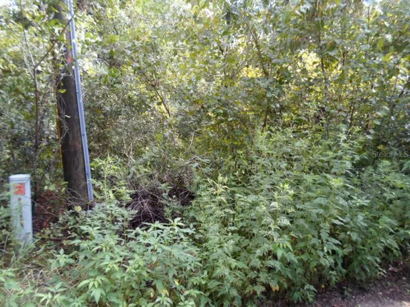 Woodside Dr, Leesburg, FL 34788