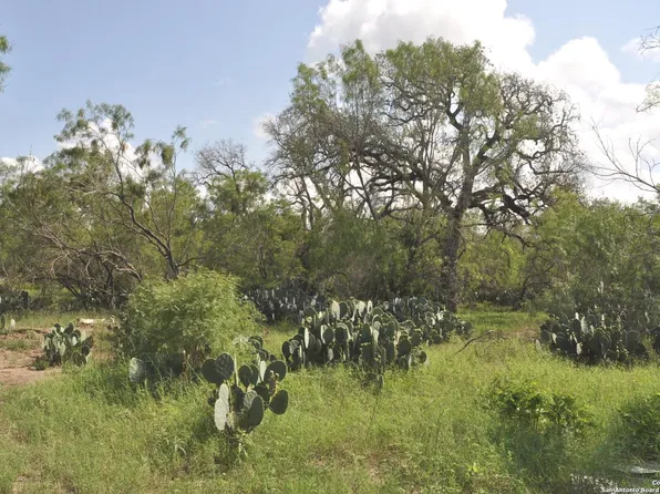 TBD CR 662, Devine, TX 78016