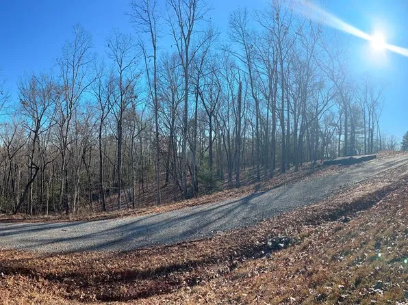 61 Old Toccoa Rd, Mineral Bluff, GA 30559