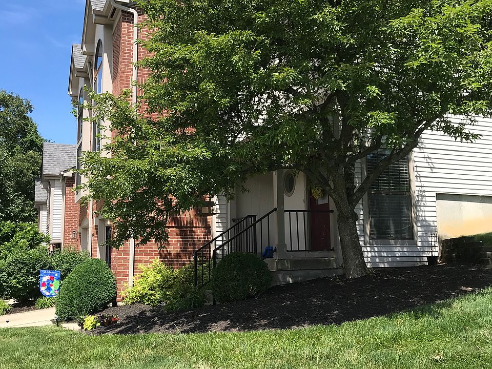1st image of 1649 Shady Cove Ln