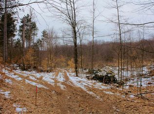 0 W 20th Rd, Mesick, MI 49668