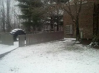 Preston Manor Apartments — Photo 15