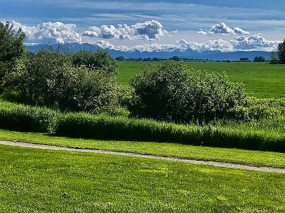 The view out the back door!