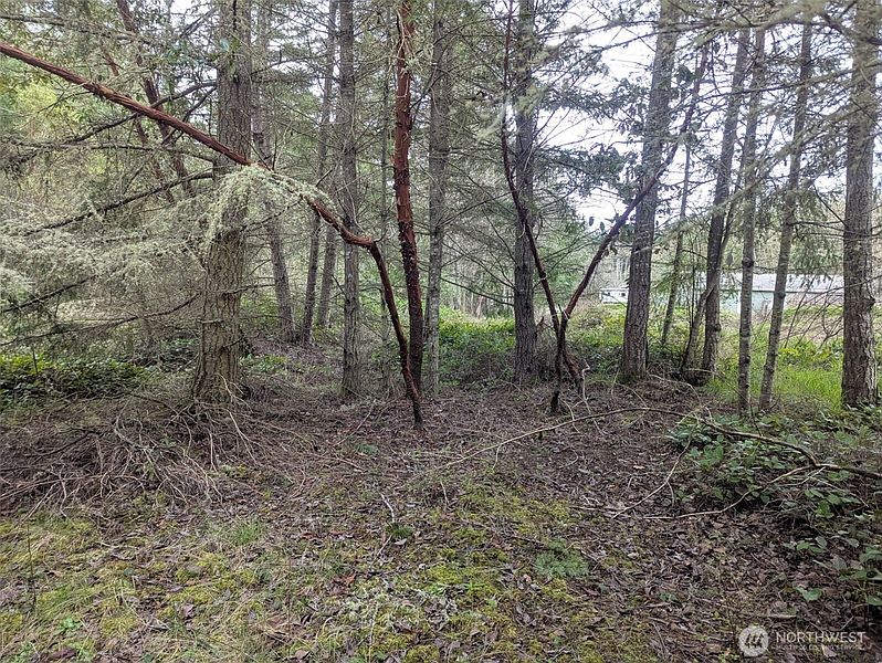 2nd image of 0 Critter Country Trail