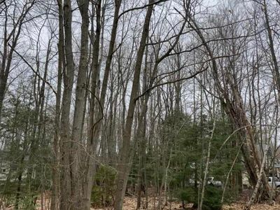 Alter Ave #2425, Pocono Summit, PA, 18346