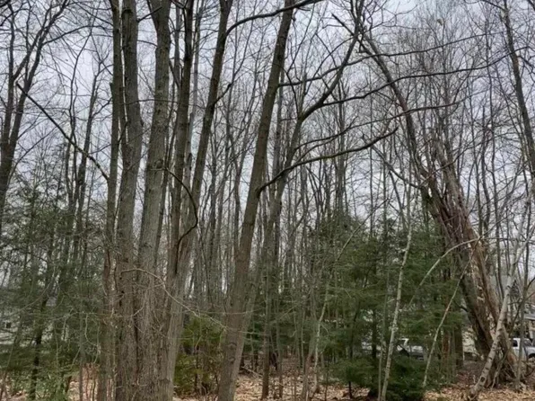 Alter Ave #2425, Pocono Summit, PA 18346