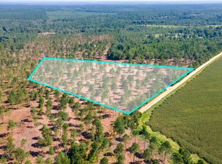 LOT 8 Shadow Lane Rd, Wagener, SC 29164