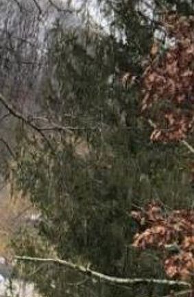 Exterior Neighborhood (street photo)