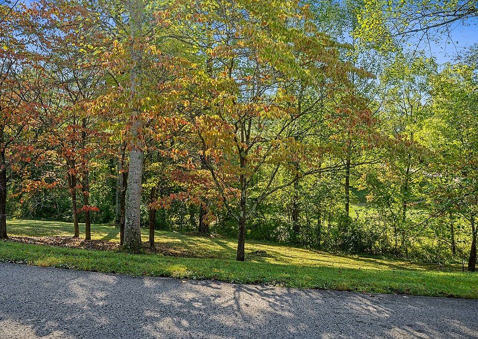2nd image of LOT 20 Julia Dr