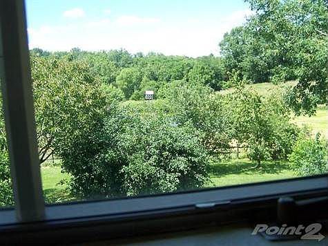 View from kitchen window