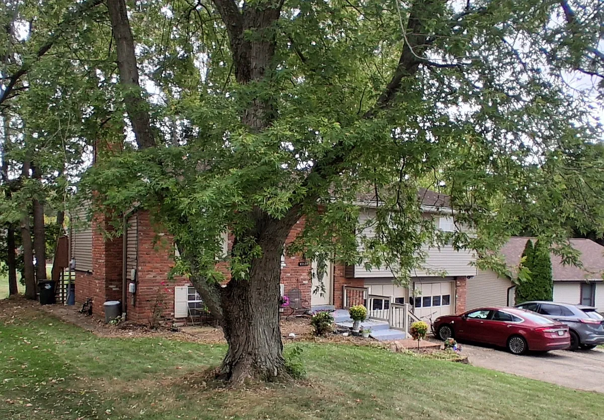 Building Photo - 6237 Firestone Dr