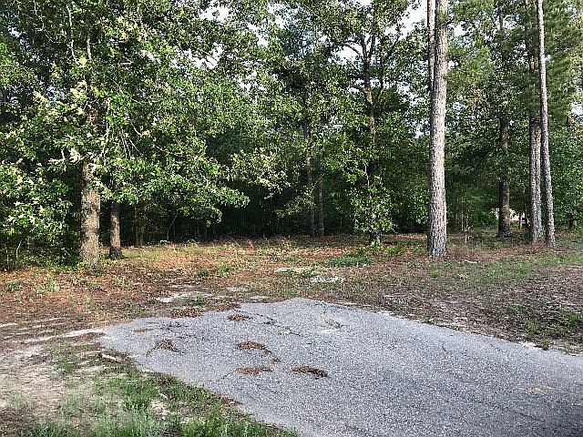 2nd image of 1003 Shillings Bridge Rd