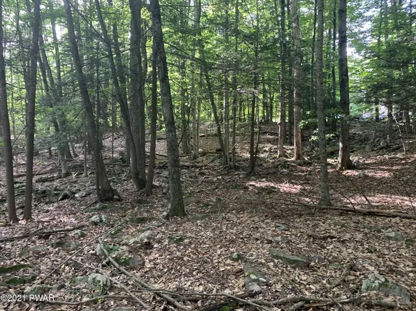1 Dogwood Ln, Lake Ariel, PA 18436