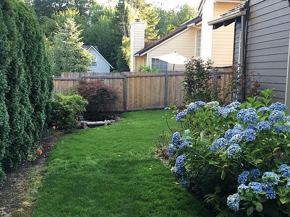 Back yard