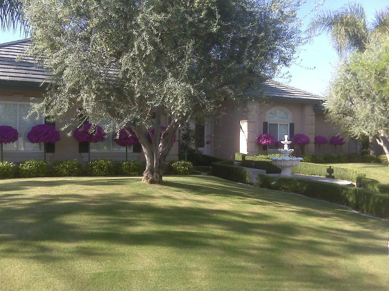 2405 Wingate Ct photo 1