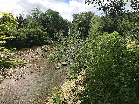 River view from backyard