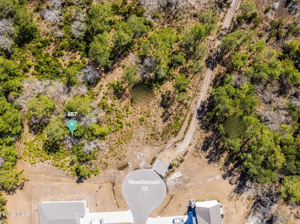 607 Needlerush Ct Lot 202, Sneads Ferry, NC 28460