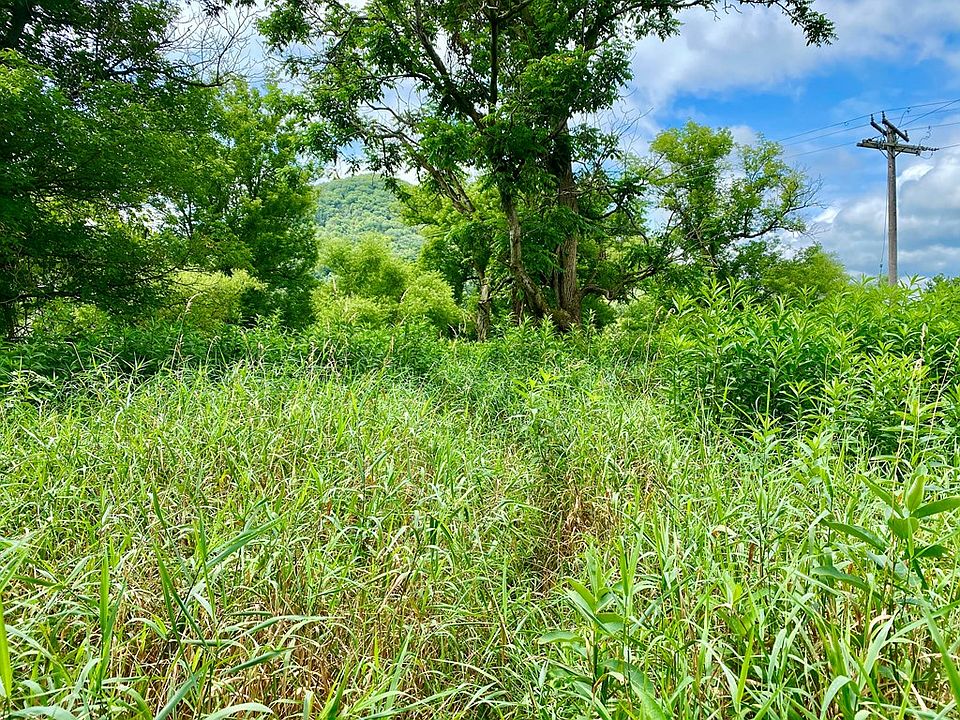 2nd image of Big Meadow Ln