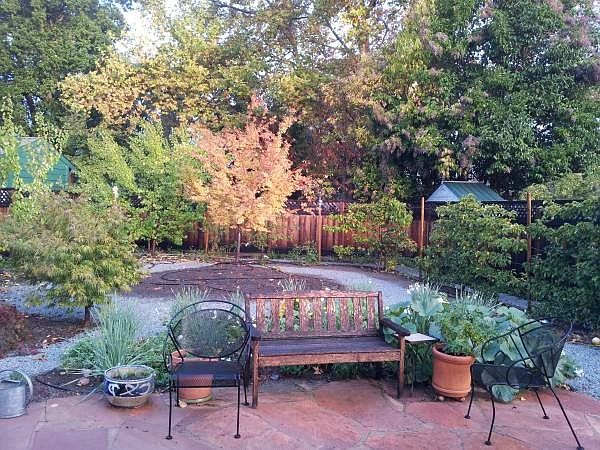 ... the garden