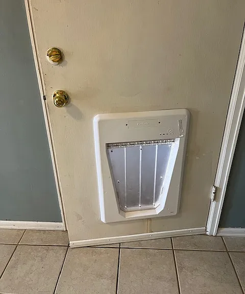 Dog door to outside