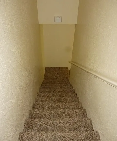 1110 Woodrow Ln — Photo 7