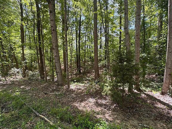 5th image of 57 Turkey Rd