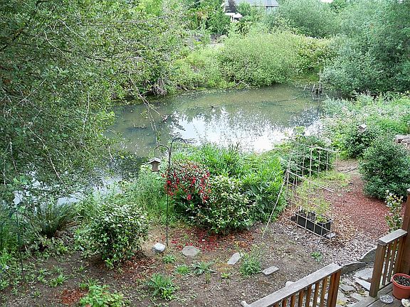 Green space from upper deck