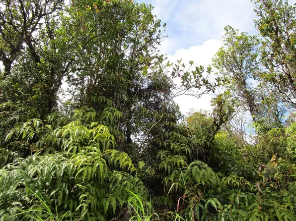 Naia St Lot 18, Mountain View, HI 96771