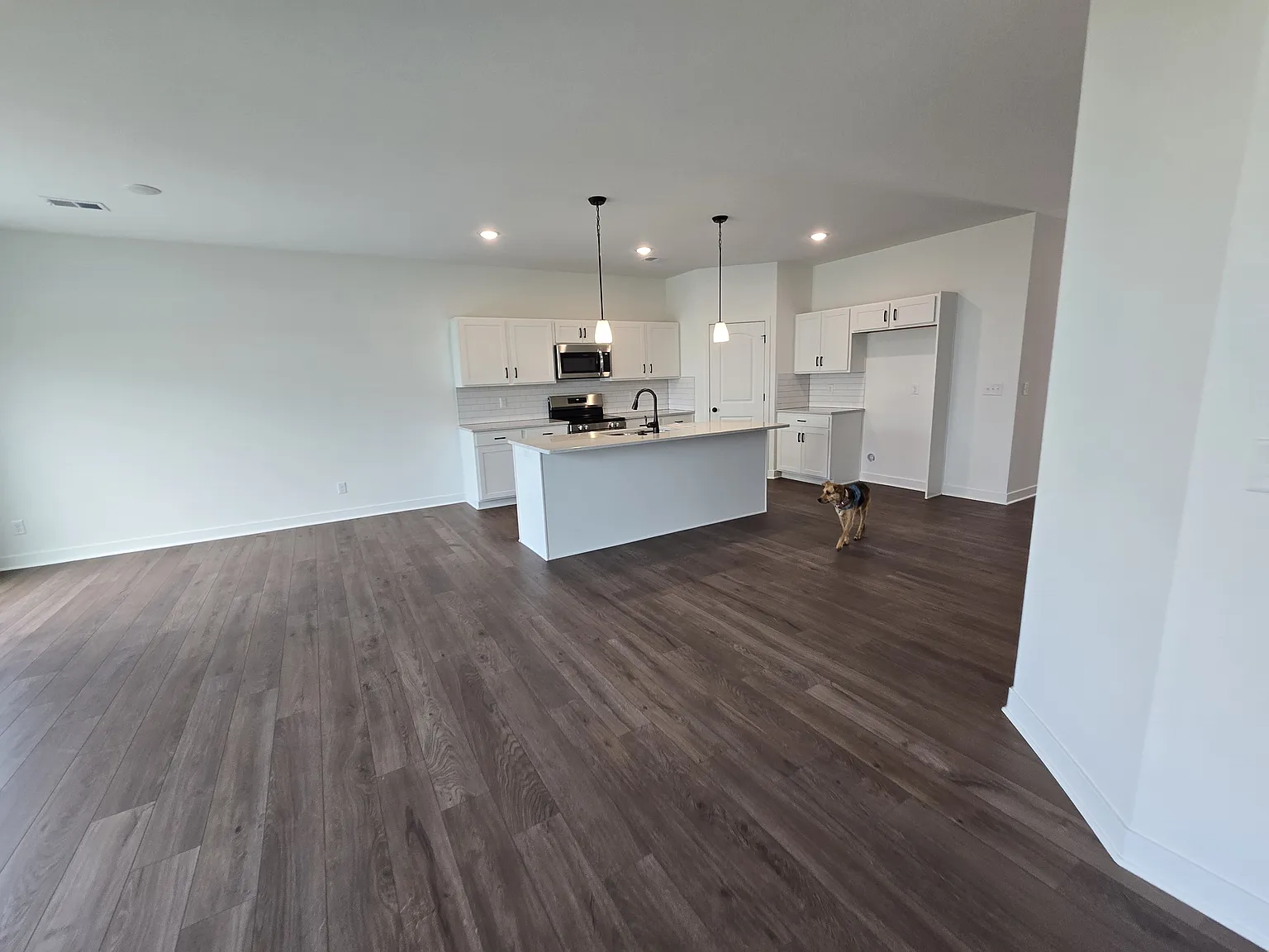12427 S Aspen Ln Lake Lotawana MO 64086 - 1 — Photo 3