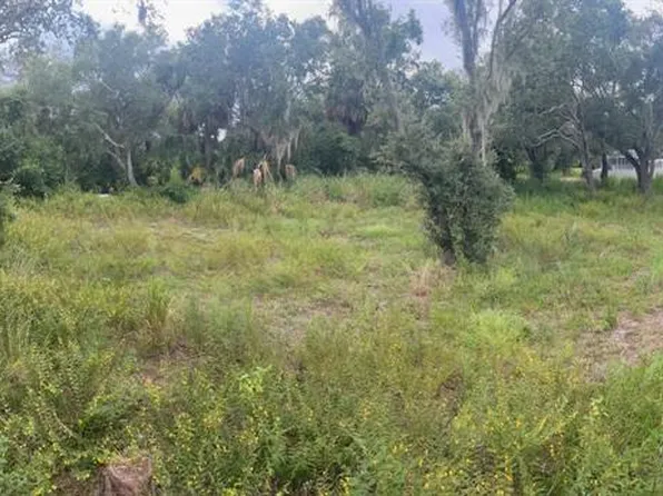 9919 Alafia River Ln #1, Gibsonton, FL 33534