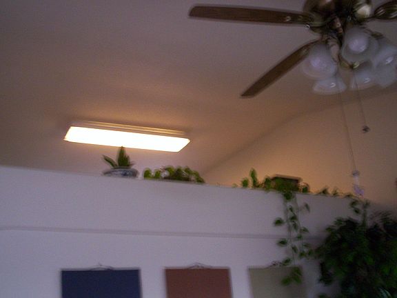 Inside a partial wall sep. kitchen and dining room and living room