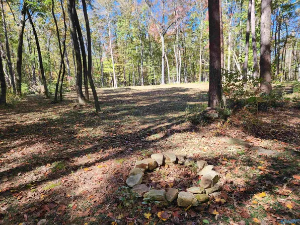 255 Libby Ln, Mentone, AL 35984