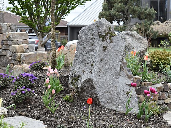 Part of new landscaping