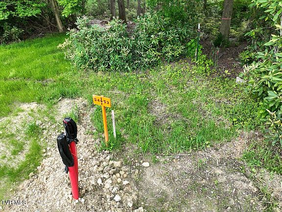 4th image of 1776 Ripshin Mountain Rd