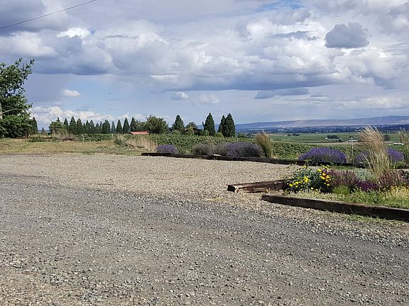 View from W. looking S. & E.