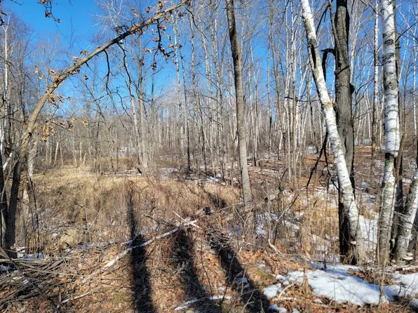 Meadow Lake Rd SW, Motley, MN 56466