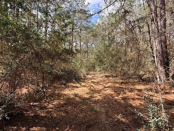 4th image of Park Pl