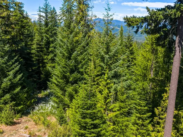 91 Basin Creek Way, Cle Elum, WA 98922
