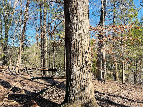 3rd image of 1075 Patterson Rd