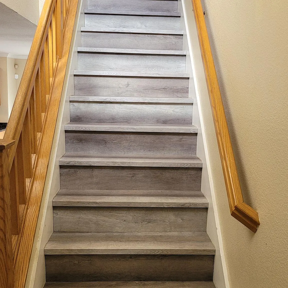 804 Bogetti Ln — Photo 4