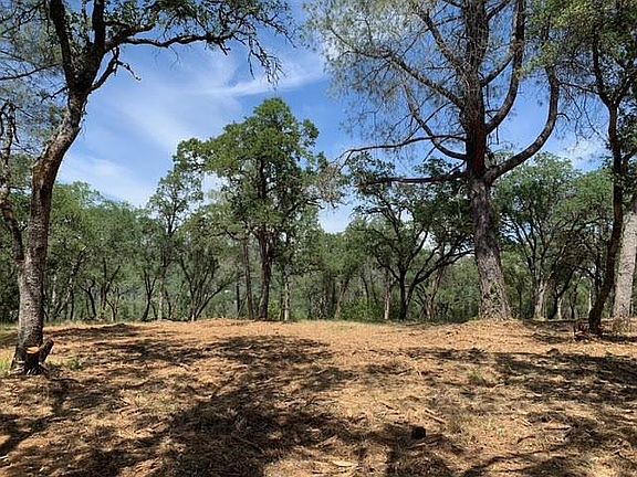 2nd image of 555 Jurgens Rd