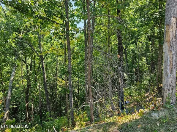 13 Villa Ridge Pl, Sevierville, TN 37862