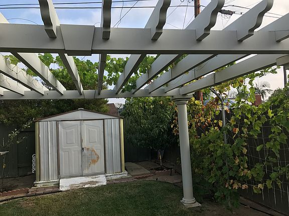 backyard with mature grape